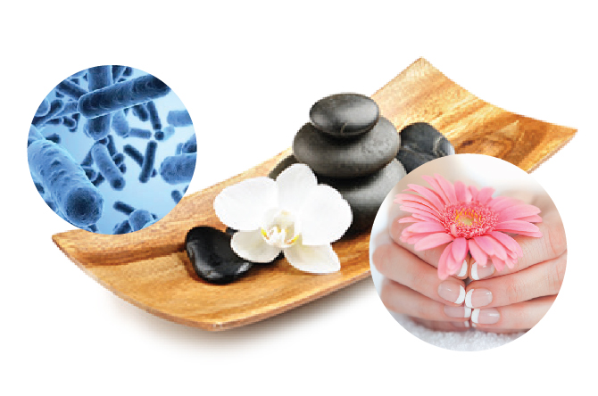 Vệ sinh và sơ cứu trong SPA
