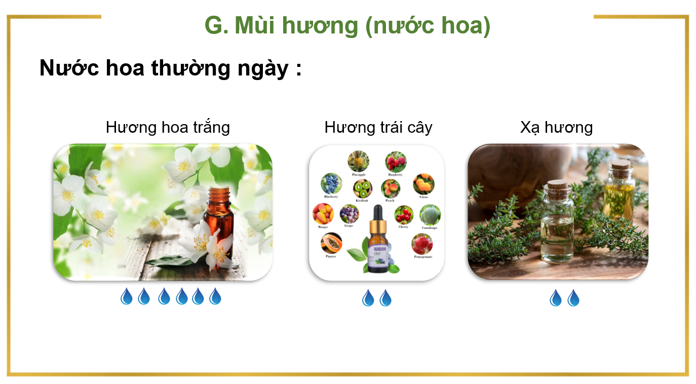 thao duoc tri lieu duong sinh 67