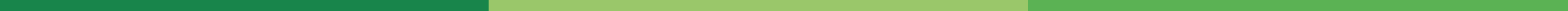 line footer